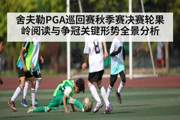 舍夫勒PGA巡回赛秋季赛决赛轮果岭阅读与争冠关键形势全景分析